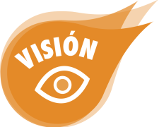 Vision1 Vision1
